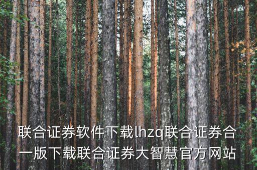 联合证券软件下载lhzq联合证券合一版下载联合证券大智慧官方网站