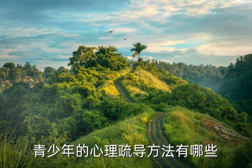 心理疏导五步法，我想知道心里疏导的方法多谢