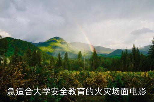 急适合大学安全教育的火灾场面电影