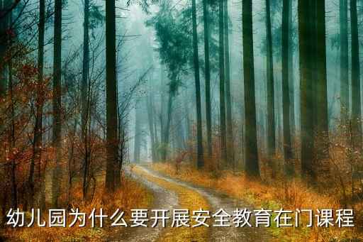 幼儿园为什么要开展安全教育在门课程