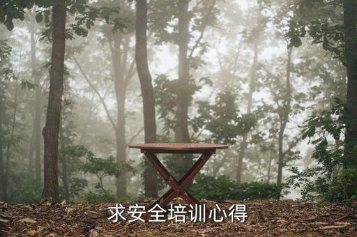 求安全培训心得