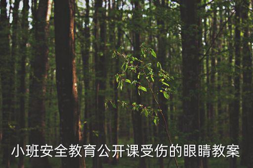 线上教学安全教育活动，中班安全活动教案地震来了怎么办