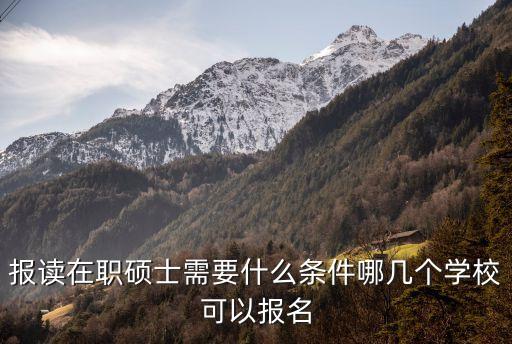 报读在职硕士需要什么条件哪几个学校可以报名