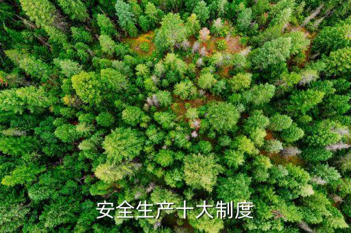 安全生产管理制度有哪些内容，安全生产十大制度