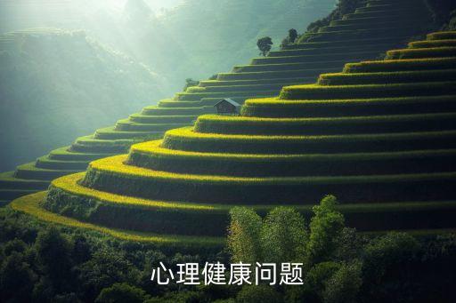 心理健康问题