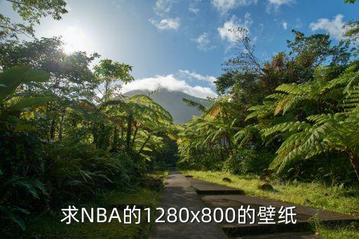 求NBA的1280x800的壁纸