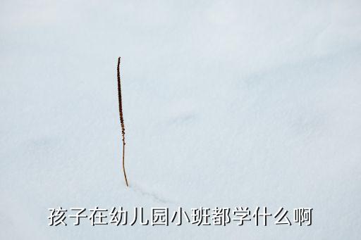 孩子在幼儿园小班都学什么啊