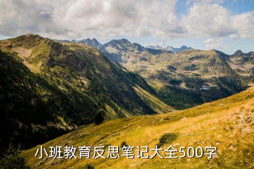 小班教育反思笔记大全500字