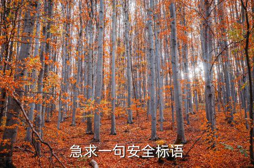 急求一句安全标语