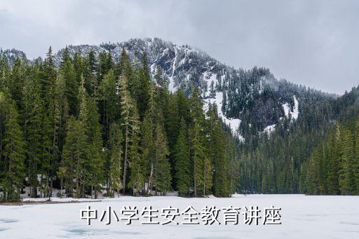 校园安全及法制教育专题讲座，中小学生安全教育讲座