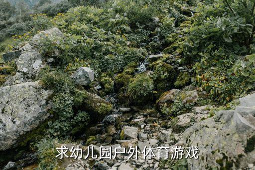 求幼儿园户外体育游戏