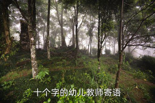 十个字的幼儿教师寄语