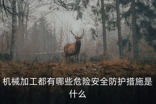 机械加工都有哪些危险安全防护措施是什么