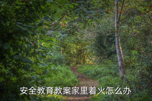 安全教育教案家里着火怎么办