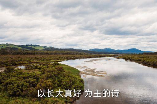 以长大真好 为主的诗