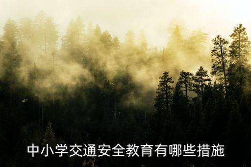 中小学交通安全教育有哪些措施