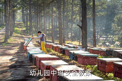 幼儿园中班安全教案