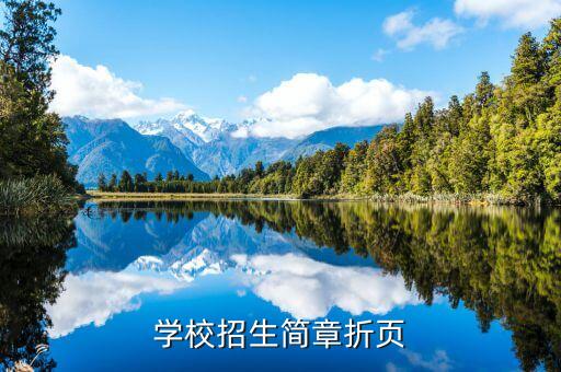 学校招生简章折页