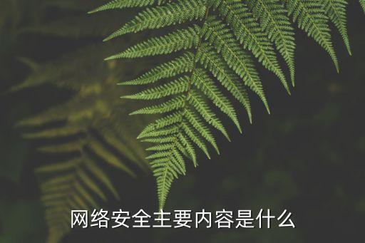 网络安全主要内容是什么
