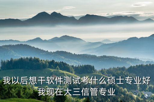 我以后想干软件测试考什么硕士专业好我现在大三信管专业