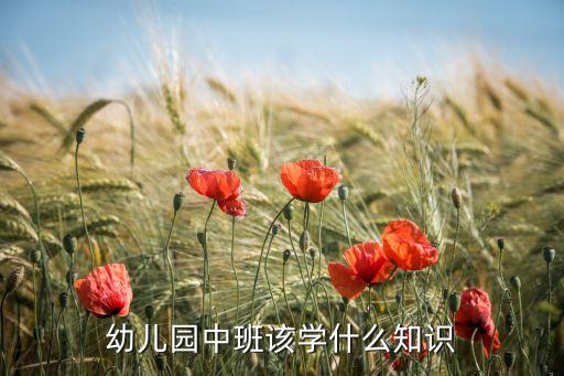 幼儿园中班该学什么知识