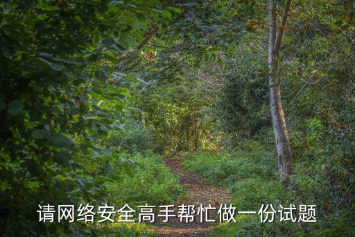 请网络安全高手帮忙做一份试题