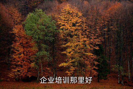 企业培训那里好