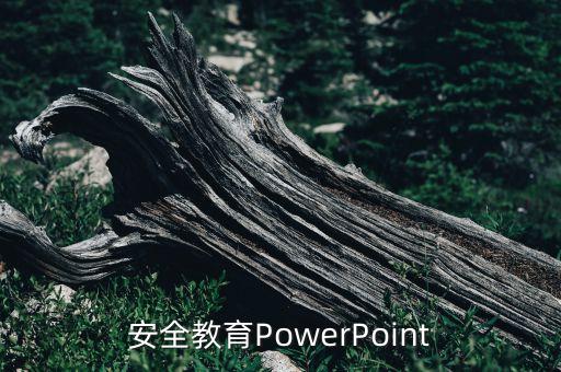 小班安全教育ppt免费下载，小学安全教育课件