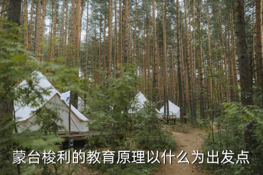 蒙台梭利的教育原理以什么为出发点