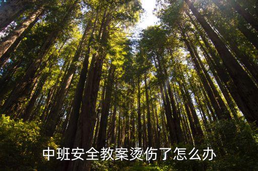 中班安全教案烫伤了怎么办