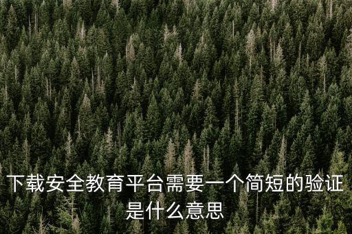 安全教育平台要核验什么，下载安全教育平台需要一个简短的验证是什么意思