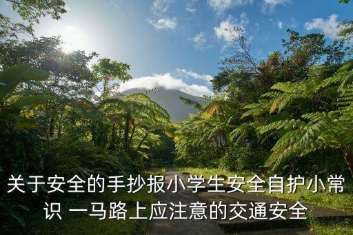 小学生安全法则手抄报内容，小学生安全手抄报的内容