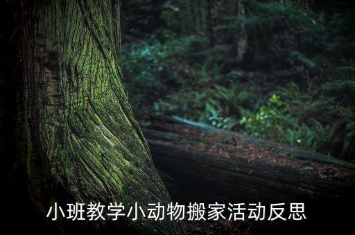 小班教学小动物搬家活动反思