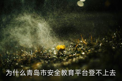 为什么青岛市安全教育平台登不上去
