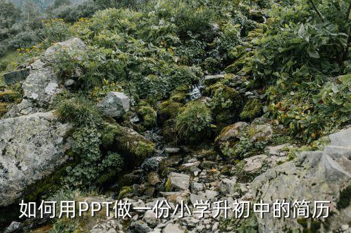 小学生简历模板ppt，小学生个人简历
