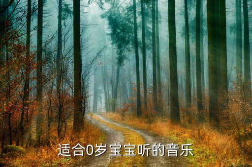 婴儿歌曲0至1岁连续100首，那些歌曲是01的小孩听的啊