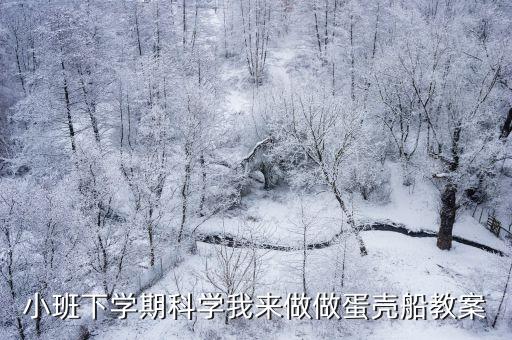 小班下学期科学我来做做蛋壳船教案