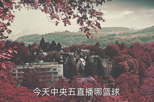 今天中央五直播哪篮球