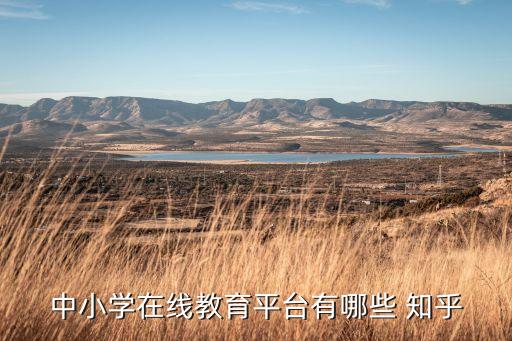 中小学在线教育平台有哪些 知乎