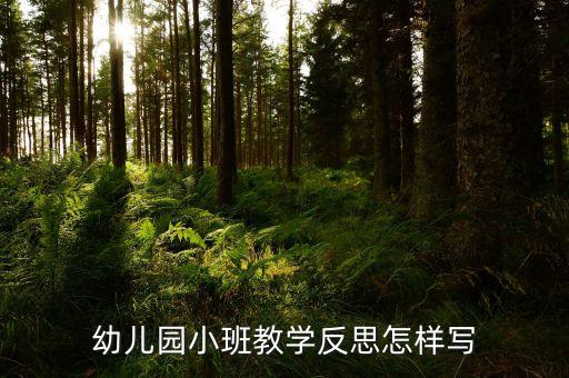 小班心理健康教学反思，幼儿园小班教学反思怎样写