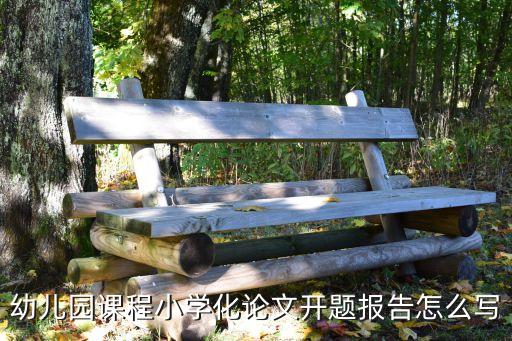 幼儿园课程小学化论文开题报告怎么写