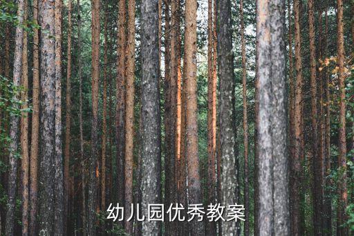 幼儿园的优秀教案，中班优秀公开课教案