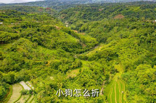 小狗怎么折