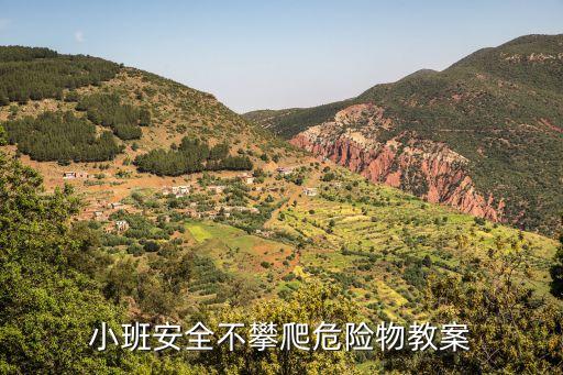 小班安全不攀爬危险物教案