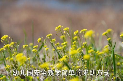 小班安全的教案大全，小班安全不攀爬危险物教案