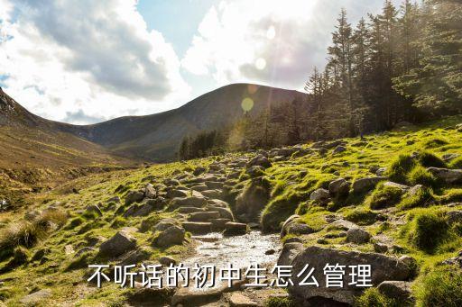不听话的初中生怎么管理