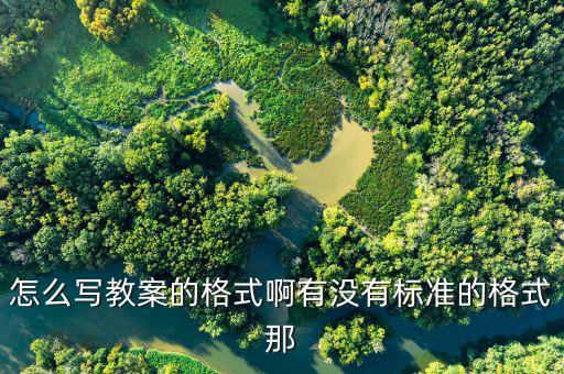 怎么写教案的格式啊有没有标准的格式那