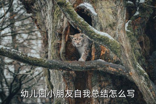 小班学期个人总结报告，2014下学期幼儿园小班总结结怎么写