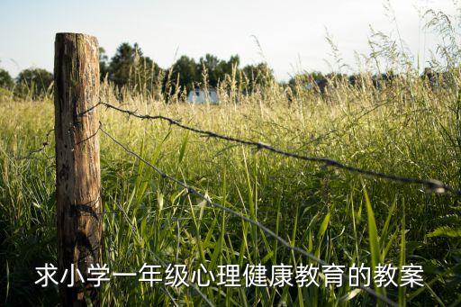 求小学一年级心理健康教育的教案