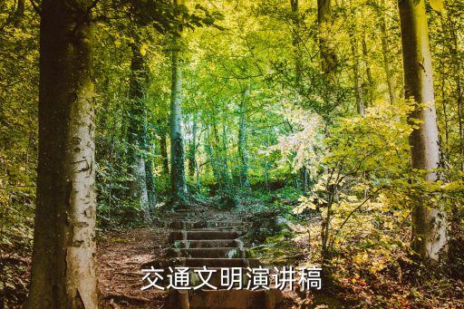 交通文明演讲稿